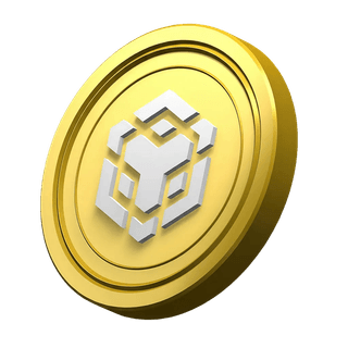 Platform bilgilendirme alanında yer alan dekoratif BNB coin görseli